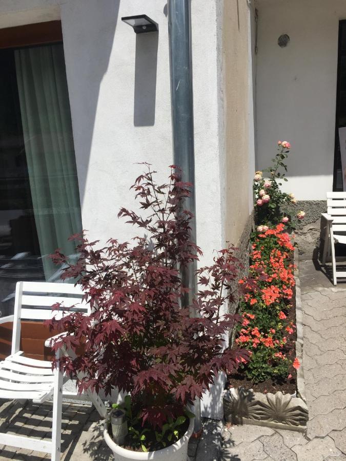 Milla Appartamento 4-6 Letti - Pontagna -1Km Ponte Di Legno T04416 Villa d'Allegno 외부 사진